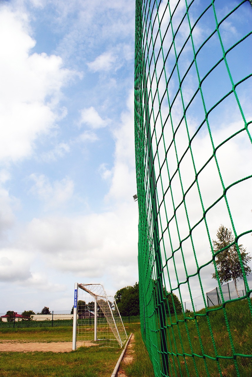 等待恩比德 等待恩比德