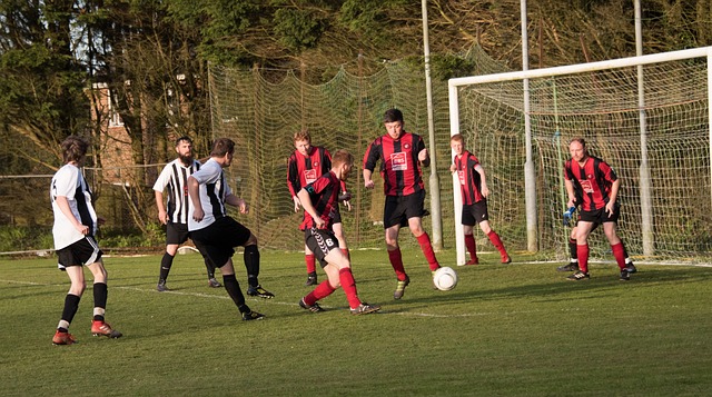 经济实用的 经济实用的