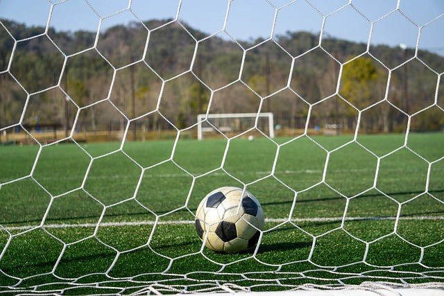 亲的依賴 亲的依賴