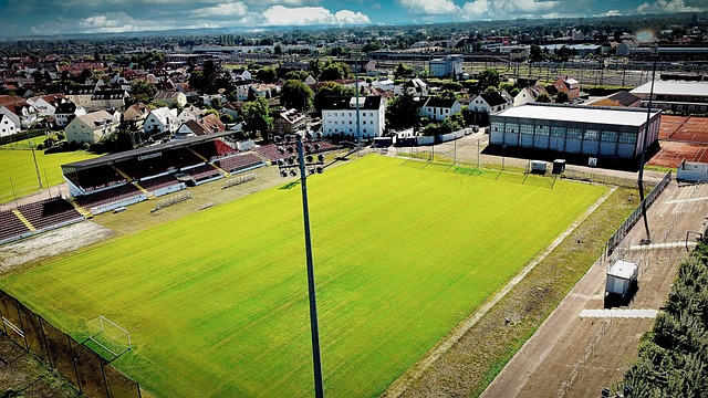 大赛事的背 大赛事的背