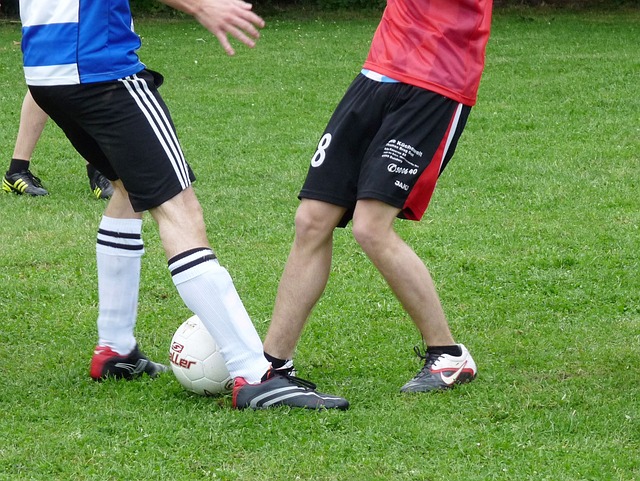 这不仅是农 这不仅是农