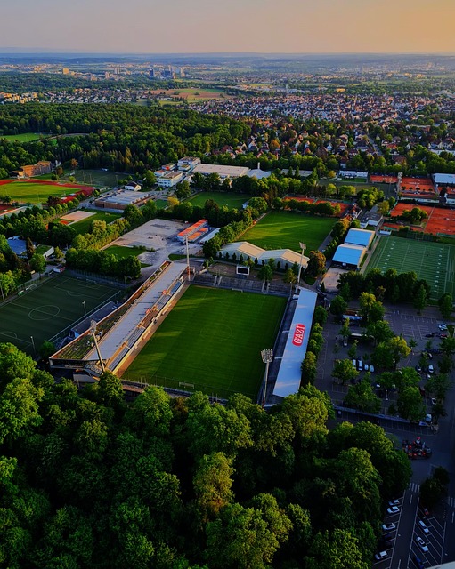 感染者案例 感染者案例